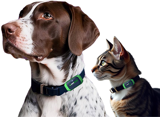 Petloc8 and Petloc8 mini